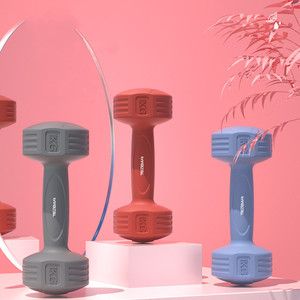 Petites haltères simples de Fitness, jouet de gymnastique pour femmes, bon marché, accessoires ménagers de musculation - Product Image 1