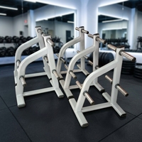 Support pour plaques de poids avec plusieurs emplacements de rangement, en acier massif, design peu encombrant pour le rangement des plaques de poids à la maison et en salle de sport.