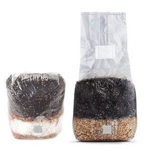 ถุงเพาะเห็ด PP แบบกำหนดเองพร้อมแผ่นกรองและช่องฉีดสำหรับการปลูกต้นเห็ด - Product Image 3