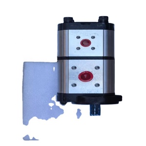 Pompe à engrenages hydraulique double 26052725954, Pompe hydraulique 26052725954 - Product Image 3