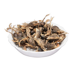 הקפאה מיובשת מזון מזון מזון מיובש בהקפאה מזון כלבים כלבים מחמד למבוגרים הסיטונאי 200 גר 'מזון מיובש בהקפאה - Product Image 3