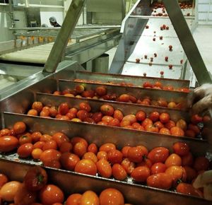 Full Automatic Tomato Ketchu Making Packing <b>Machine</b> Jam Filling Fruit & Vegetable <b>Machines</b> Industry Full Automatic Tomato Ketchu - Product Image 5