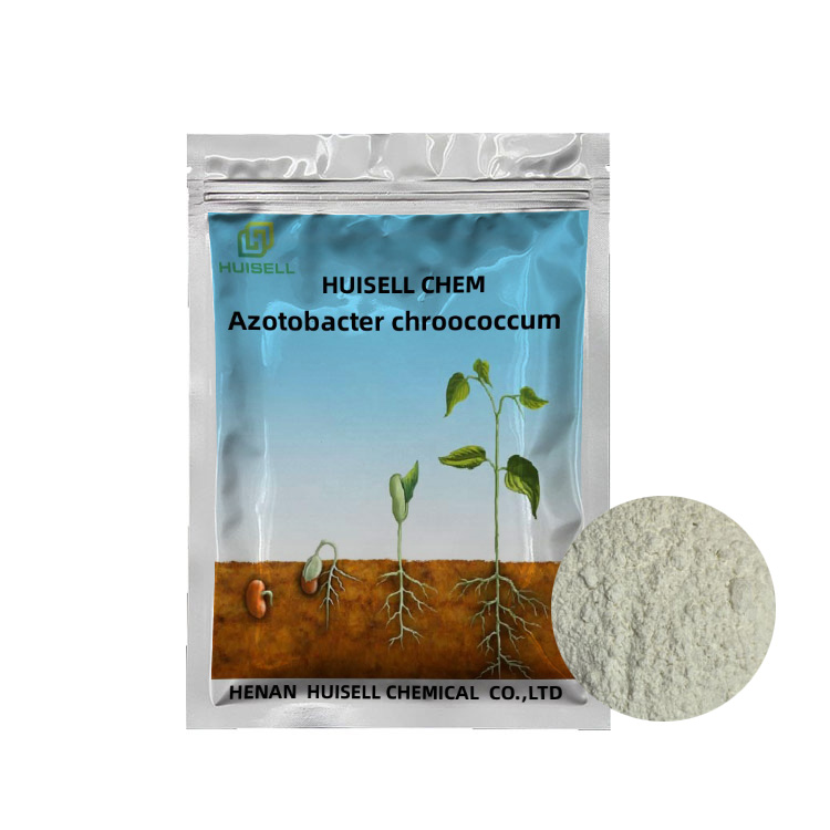 Биологический органический водорастворимый азот с фиксированной мощностью azотообтекатель Chroococcum Spp