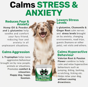 Bocconcini Morbidi Calmanti per Cani Personalizzati OEM, 120 Pezzi, Assorbimento Rapido, Vitamine e Minerali, Senza Effetto Pungente, Certificati - Product Image 3