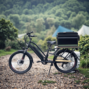 Vélo cargo électrique familial à pneus larges et longues roues, avec siège bébé, prix abordable, favori des clients - Product Image 6