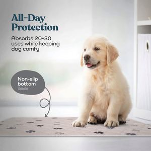 Alfombrillas Absorbentes Lavables para Perros y Gatos, Reutilizables, para Cachorros y Mascotas Grandes, Alfombrillas Impermeables para Orina de Mascotas, Gran Venta en Amazon - Product Image 2