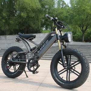EU 미국 창고 좋은 판매 강력한 48V 리튬 ebike 전기 자전거 산악 ebike 지방 타이어 전기 자전거