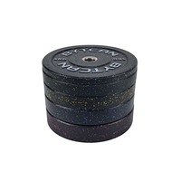 Ensemble de plaques de musculation en caoutchouc noir et acier pour centre d'entraînement sportif, différents poids disponibles de 5 kg à 25 kg