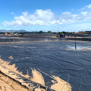 Géomembrane HDPE traitée anti-UV de 0,5 mm et 0,75 mm pour bassin à poissons, revêtement de sol, drainage inférieur, lagune, barrage de rivière - Product Image 1