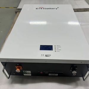 حزمة بطارية طويلة العمر V 200Ah 10KWH BMS تخزين الطاقة الشمسية LIFEPO4 بطارية أيون الليثيوم للحصول على أفضل أداء - Product Image 1