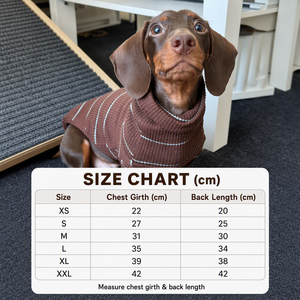 Chemise thermique d'hiver pour <span class=keywords><strong>Teckel</strong></span>, sous-vêtement épais et chaud avec couverture du ventre pour petits chiens, vêtements pour animaux de compagnie en tricot tendance et très prisés - Product Image 5