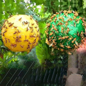 Trampa para Moscas Haierc, Bola Adhesiva para Interiores, Trampa Colgante para Insectos al Aire Libre, Atrapa Moscas, Mosquitos y Avispas, Bola para Insectos Voladores - Product Image 1