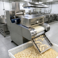 Machine automatique de fabrication de snacks de riz 1000 kg/h, ligne de production de bâtonnets de pâte frite avec matrices de découpe personnalisées, conception en acier inoxydable