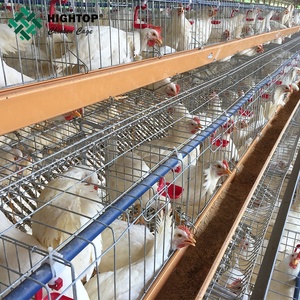 4 Tier Type 128/160 Egg Laying Chicken Layer <strong>Cage</strong> Design for 128/160 Birds Hens New Condition <strong>Cheap</strong> <strong>Price</strong> - Product Image 3