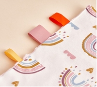 Couverture en peluche pour bébé garçon unisexe, couverture souple pour nouveau-né, avec étiquette pour sucette, pour filles