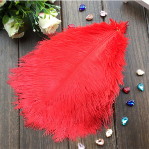 <span class=keywords><strong>Piume</strong></span> di struzzo a basso costo di 30-35cm <span class=keywords><strong>piume</strong></span> artificiali per la decorazione di nozze all'ingrosso dai migliori fornitori di <span class=keywords><strong>piume</strong></span> - Product Image 6