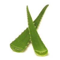POLVO DE ALOE VERA ORGANICO Y NATURAL DE NUEVA CULTIVA CON PRECIO COMPETITIVO