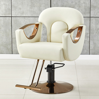Chaise de Salon Commerciale Dorée Contemporaine Très Vendue pour Coiffure, Utilisation Extérieure et Hôtelière, Salons de Barbier en Promotion