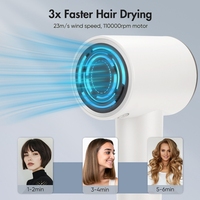 Styler à air professionnel à séchage rapide 110000RPM, multi-styler, ensemble sèche-cheveux automatique, brosse à air chaud, sèche-cheveux haute vitesse, volumateur