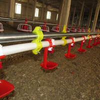 Nouvel équipement avicole à prix réduit, poulailler multicouche, durée de vie de 10 à 20 ans, installation facile, nettoyage facile, galvanisation à chaud