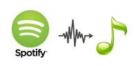 Suscripción Individual de 3 Meses a Spotify Premium, Cuentas Personales Estables, Sin Invitación a Grupos Familiares