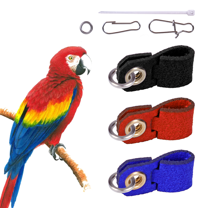 Anelli per piedi per pappagalli Anelli per gambe per uccelli in metallo per animali domestici Attivà di allenamento per mosche all'aperto Accessori