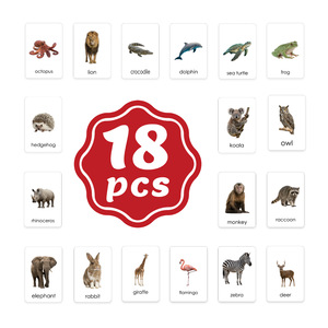Nuevas Tarjetas de Felicitación Bilingües con 18 Animales, Erizo, <span class=keywords><strong>Koala</strong></span>, etc. Papel estampado en caliente con imágenes reales para educación infantil temprana - Product Image 2