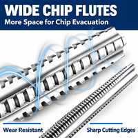 Tarauds à filetage trapézoïdal métriques HSS-M2 Tr et ACME Tr8-Tr50 pour vis-mères, pour tours CNC et perceuses radiales