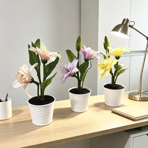 Bonsaï de lys artificiel Paulon, 24 cm de haut, fleurs en plastique dans des pots blancs, pour décorations de bureau - Product Image 2