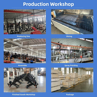 DINUO OEM ODM Machine Smith tout-en-un à double pile de poids, Power Cage, Appareil d'entraînement de force pour centre de fitness commercial, Vente en gros