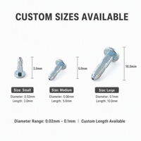 Vis de micro-précision non standard JinLi sur mesure (0,02-0,1 mm) avec service OEM/ODM et MOQ flexible (Modèle LS006)