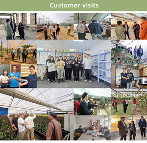 Prefab nấm đa-span nhà kính màu xanh lá cây nhà Kit khung kim loại cấu trúc polycarbonate nhà kính để bán - Product Image 4