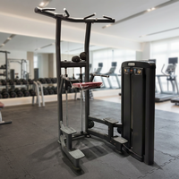 Máquina de Dominadas Ajustable de Acero para Gimnasio Comercial, Equipo de Fitness para Entrenamiento de Espalda, Pecho, Piernas y Brazos
