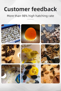 Trứng lncubator công suất 24 500 trứng lncubator hoàn toàn tự động trứng lncubators Máy ấp tự động nhiệt độ tự động - Product Image 6