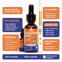 Complément Liquide de Collagène pour Chiens : Soutient la Peau, le Pelage, la Santé Digestive et Articulaire – Gouttes de Collagène, MSM, Biotine et Gingembre – OEM