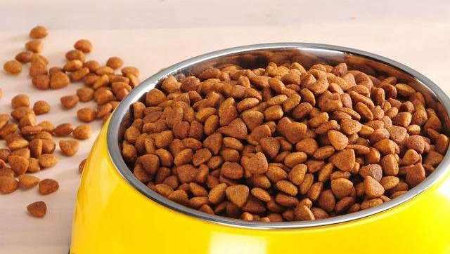 Wet Pet Feed Processing Machine Production Line Pet Food Pellet