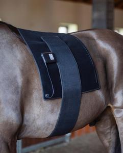 Coussinets de thérapie par la lumière rouge certifiés CE 660nm 850nm pour instruments vétérinaires dispositif équin de thérapie par le cheval utilisé pour le croup dos ventre - Product Image 1