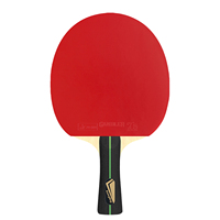 Raquette de tennis de table personnalisée, professionnelle, haute performance, caoutchouc approuvé, raquettes de ping-pong avec housse pour débutants