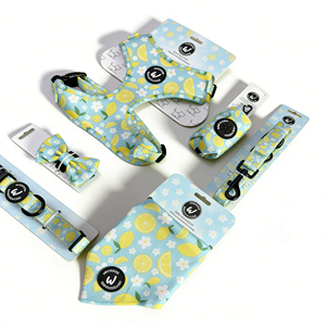 Accessoires de boutique pour chiens : Emballage en carton pour harnais et gilet pour chiot, assorti au collier et à la laisse, carte personnalisée de créateur - Product Image 2