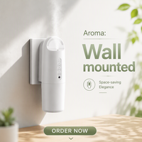 Diffuseur d'huiles essentielles mural commercial, sans eau, à brume réglable, pour hôtel, bureau, maison, usage professionnel