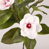Bunga Magnolia Artifisial Grosir untuk Dekorasi Rumah, Bunga Latex Putih untuk Dekorasi Pernikahan dengan Daun Hijau untuk Acara