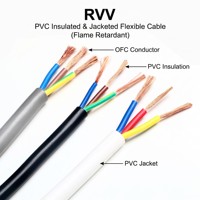 Maßgefertigtes RVV Flexibles Flammhemmendes Ingenieur-Team Mehradriges OFC-Kupfer 300/500V Hauskabel für Gewerbeimmobilien