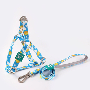 Benutzer definiertes Logo Luxus Hunde geschirr Set Pet Walk Kit Wasserdichtes Polyester Solid Pattern Verstellbares Halsband mit weicher Leine - Product Image 2