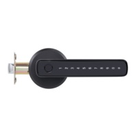 Serrure de porte intelligente à empreinte digitale et mot de passe pour porte en acier, avec stockage de données sur carte mémoire et connectivité Wi-Fi