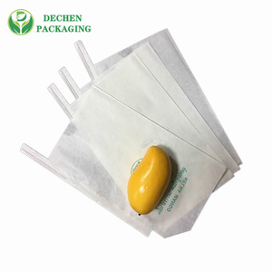 Orange Bangladesh Mango Fruit Cover Paper Bag For Grape Growing Orange Bangladesh Mango Fruit Cover Paper Bag For Grape Growing