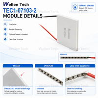 Modules de contrôle thermique TEC TEC1-07103 30x30x4.9 mm 19.4 W pour le contrôle de la température des refroidisseurs de médicaments portables