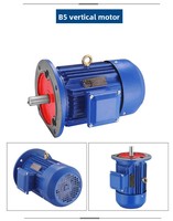 Moteur en fonte NEMA Premium TEFC 0,06-2,2KW 3 phases 60Hz IP55 IE3 100% cuivre certifié UL/CSA Moteur à induction haute efficacité
