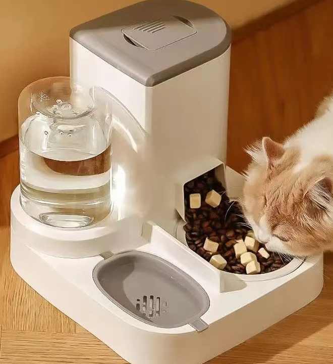 a spill proff water bowl for a cat All Fur You Anti Splash, Anti Spill Water Bowl