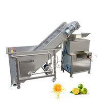 Apparatuur voor sapbereiding, calamansi-sapcentrifuge, extractie van limoenen, automatische sinaasappelpers, industriële citruspers