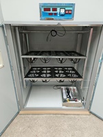 Incubateurs électriques pour 24 œufs d'autruche BeYou Good Price pour l'élevage
